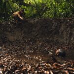 “Il risveglio di Boiúna”: il mito amazzonico diventa un incubo sul grande schermo
