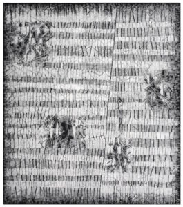 Marina Bindella Cosmografie - Durch die zum Kamm gespaltene Erde, 2002-03, xilografia (pvc), cm 70 x 50