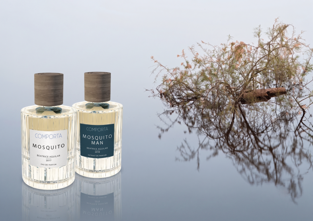 Comporta Perfumes
