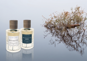 Comporta Perfumes